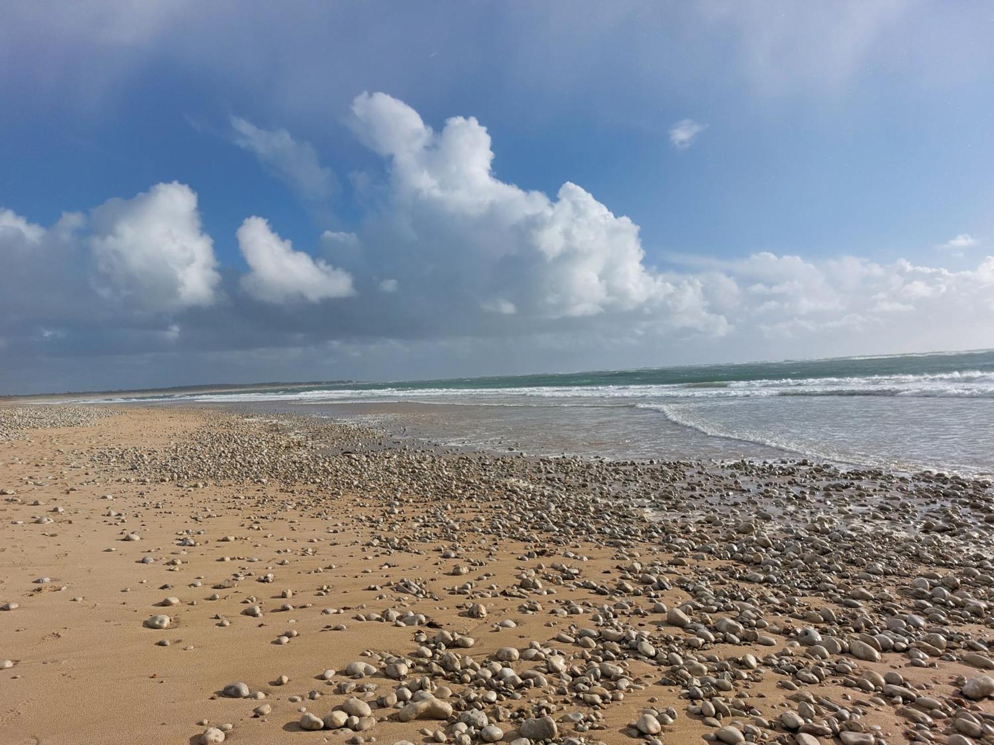 Maison A 8 Min A Pied De La Plage Avec Jardin Clos Et Ombrage سا جورج دوليه المظهر الخارجي الصورة